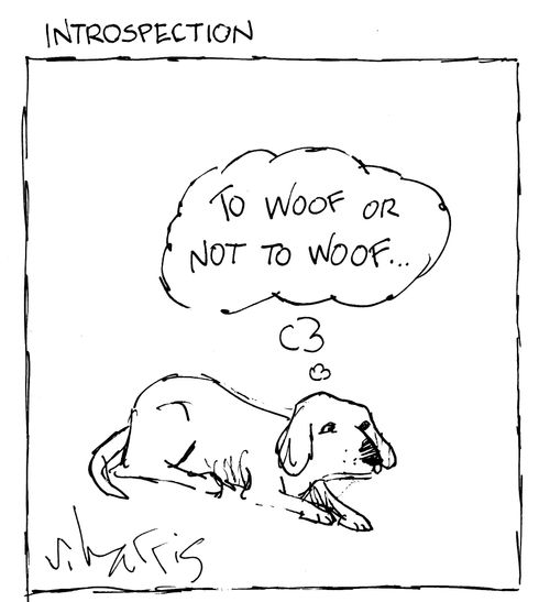 Introspection: "To woof or not to woof..."
