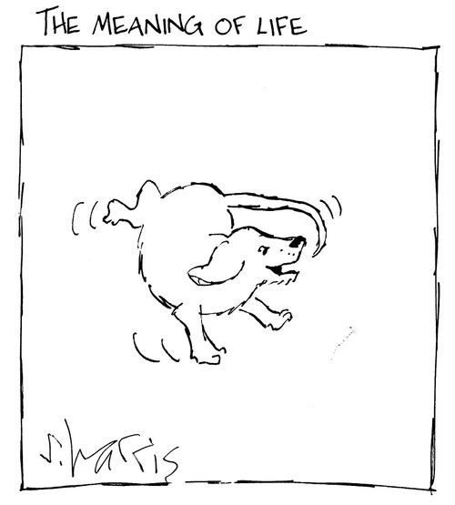 The meaning of life...