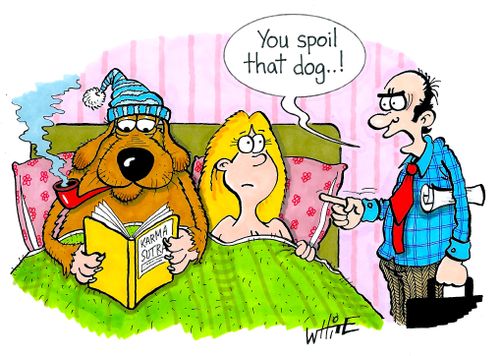 "You spoil that dog...."