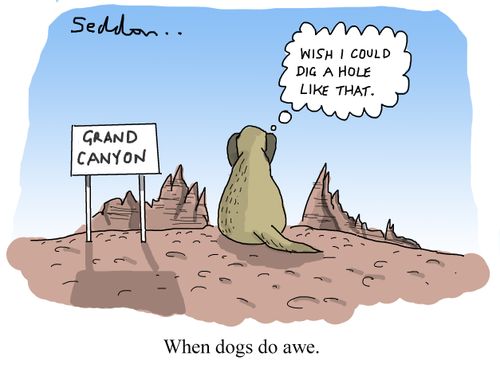 When dogs do awe.