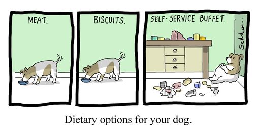 Dietary options for your dog.