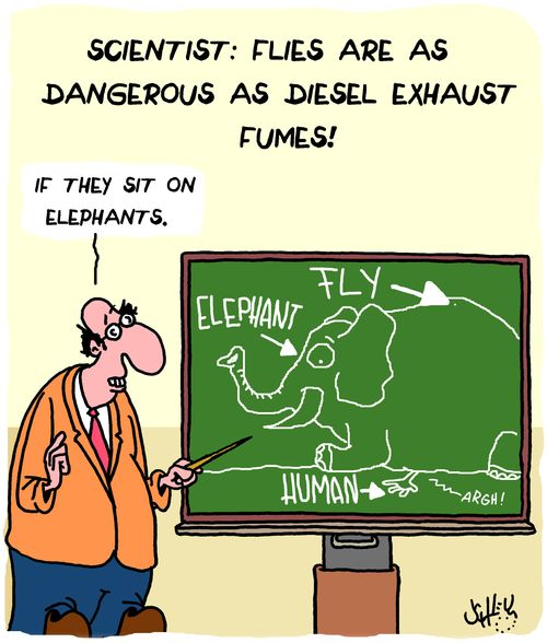 Scientist: Flies are as dangerous as diesel exhaust fumes!