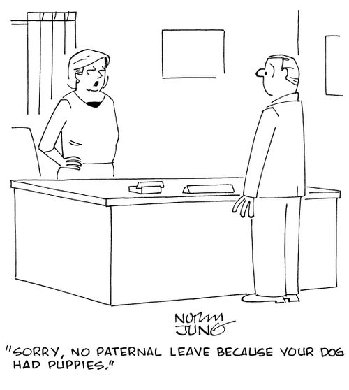 "Sorry, no paternal leave because your dog had puppies."