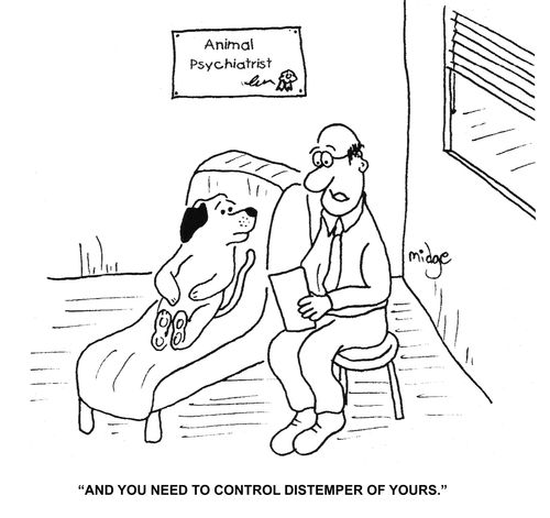 "And you need to control distemper of yours."