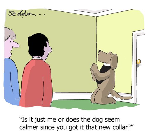 "Is it just me or does the dog seem calmer since you got it that new collar?"