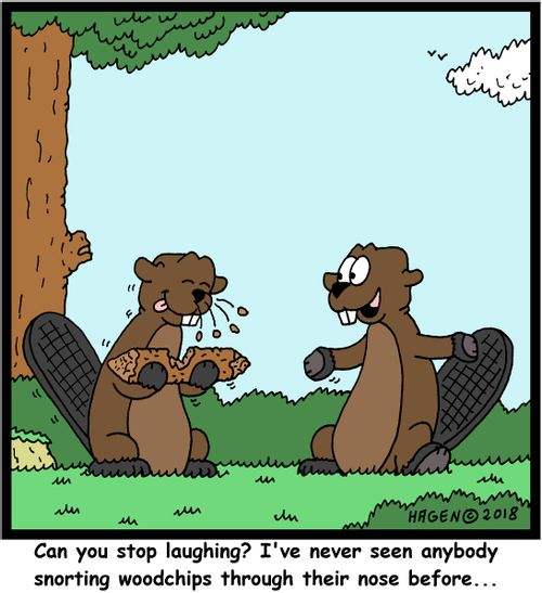 "Can you stop laughing? I've never seen anybody snorting woodchips through their nose before..."