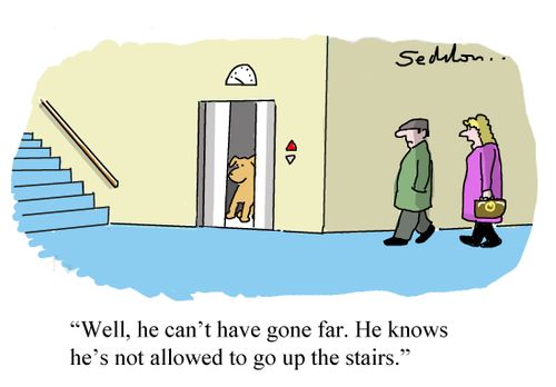 "Well, he can't have gone far. He knows he's not allowed to go up the stairs."