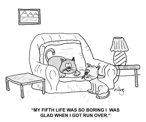 "My fifth life was so boring I was glad when I got run over."