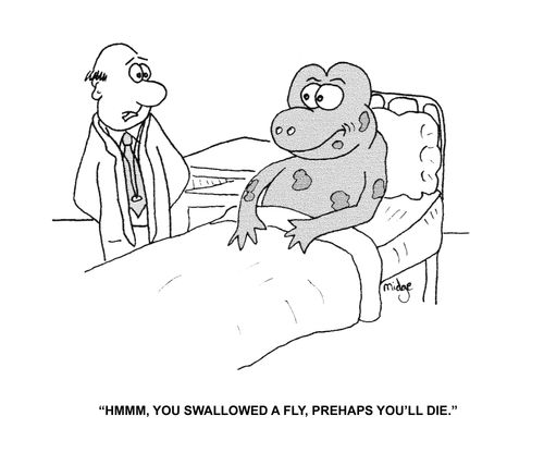 "Hmmm, you swallowed a fly, perhaps you'll die."