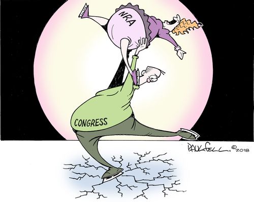 Skaters: Congress and NRA