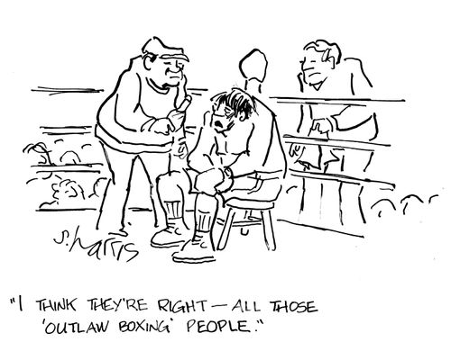 "I think they're right -  all those 'outlaw boxing' people."