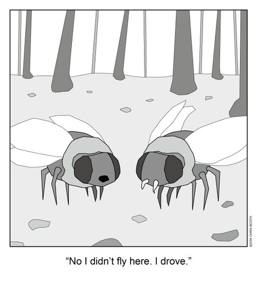"No I didn't fly here. I drove."