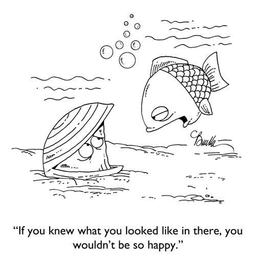 "If you knew what you looked like in there, you wouldn't be so happy."