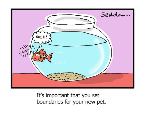 It's important that you set boundaries for your new pet.
