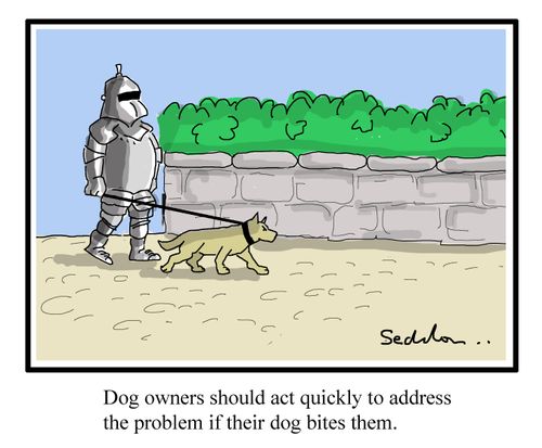 Dog owners should act quickly to address the problem if their dog bites them.