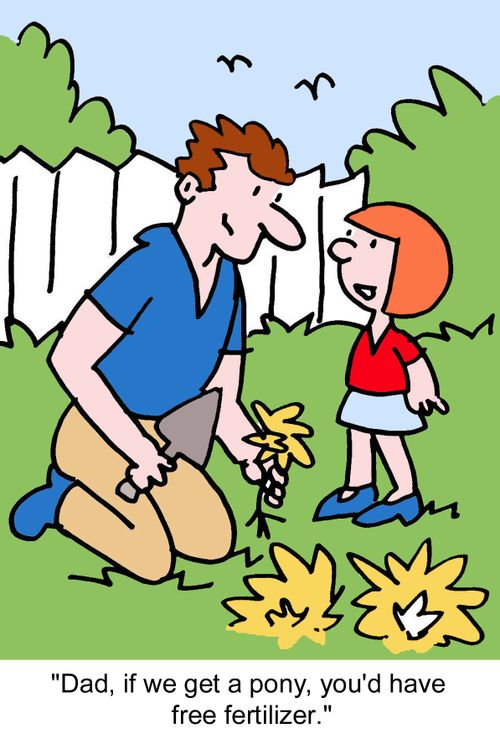 "Dad, if we get a pony, you'd have free fertilizer."