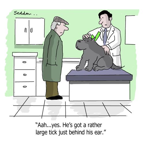 "Aah...yes. He's got a rather large tick just behind his ear."