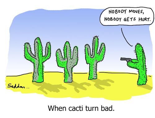 When cacti turn bad.