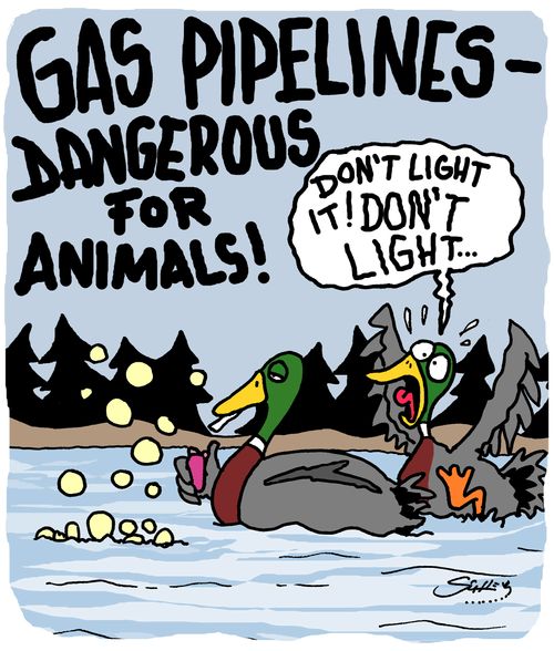 Gas Pipelines - Dangerous fro Animals!