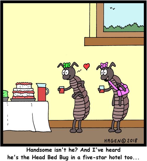 "Handsome isn't he? And I've heard he's the Head Bed Bug in a five-star hotel too..."