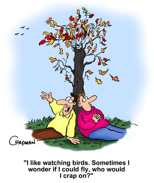 "I like watching birds. Sometimes I wonder if I could fly, who would I crap on?"