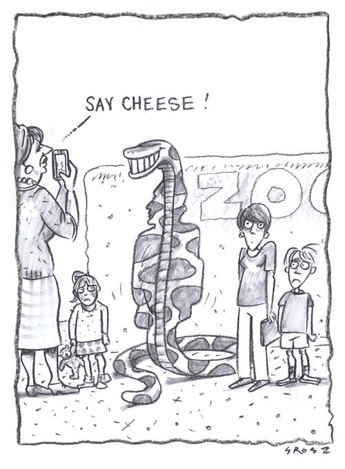 Smile...an anaconda just ate your husband.