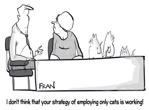 "I don't think that your strategy of employing only cats is working!"