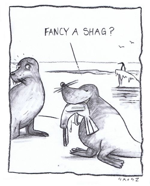 "Fancy a s**g?"