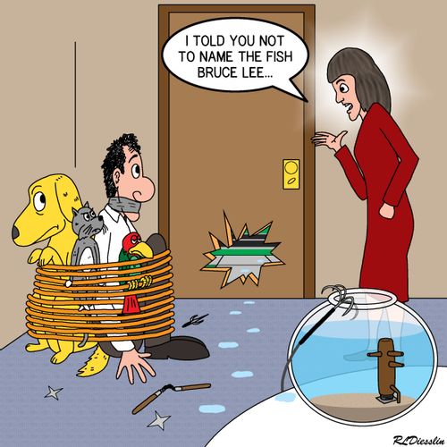 "I told you not to name the fish Bruce Lee..."