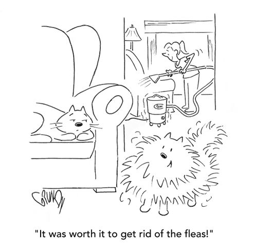 "It was worth it to get rid of the fleas!"