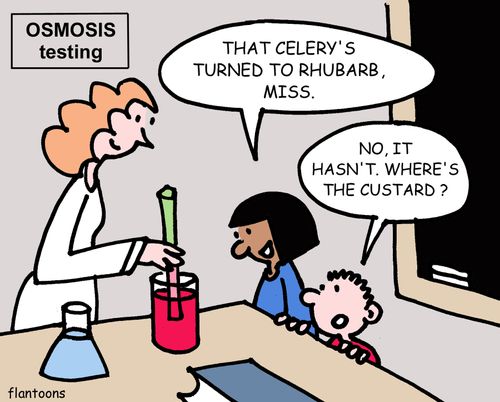 "That celery's turned to rhubarb, Miss."