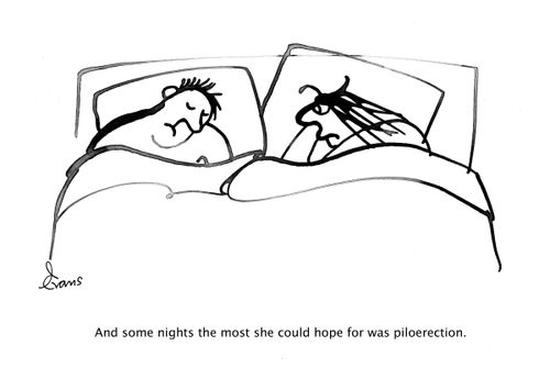 And some nights the most she could hope for was piloerection.