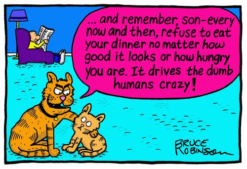 "...and remember, son - every now and then, refuse to eat your dinner no matter how good it looks or how hungry you are. It drives the dumb humans crazy!"