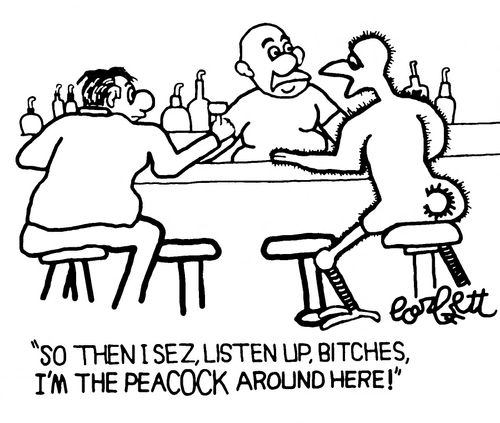 "So then I sez, listen up, bitches, I'm the PEACOCK around here!"
