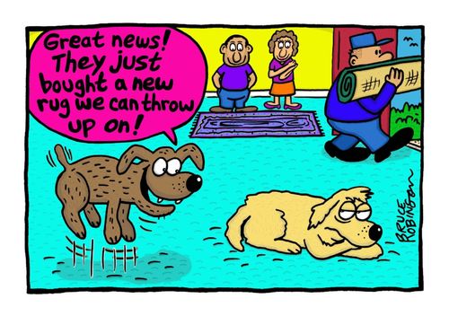 "Great news! They just bought a new rug we can throw up on!"