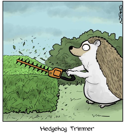 Hedgehog Trimmer
