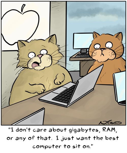 "I don't care about gigabytes, RAM, or any of that. I just want the best computer to sit on."