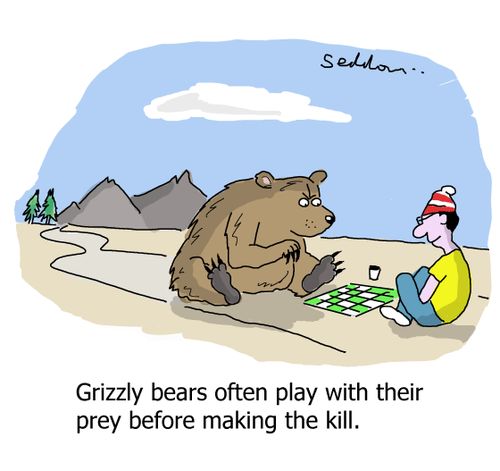 Grizzly bears often play with their prey before  making the kill.