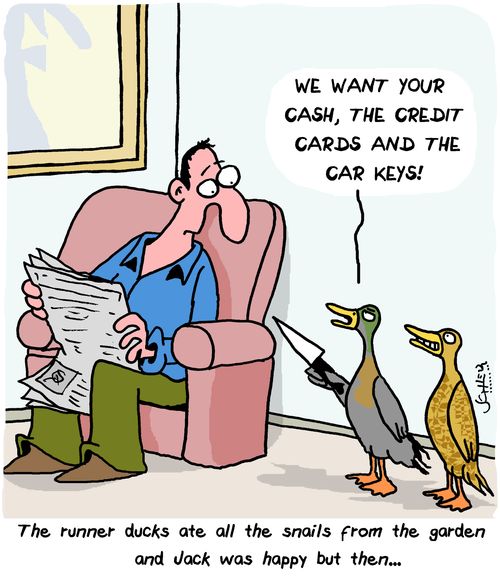 The runner ducks ate all the snails from the garden and Jack was happy but then...