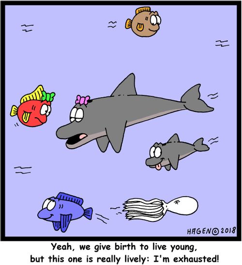 "Yeah, we give birth to live young, but this one is really lively: I'm exhausted!"