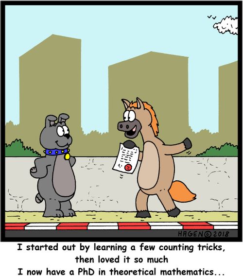 "I started out by learning a few counting tricks, then loved it so much I now have a PhD in theoretical mathematics..."