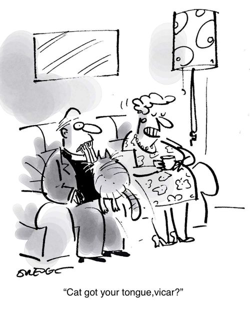"Cat got your tongue, vicar?"