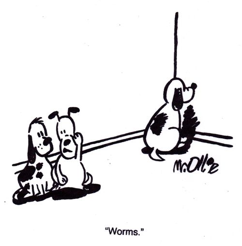 "Worms."