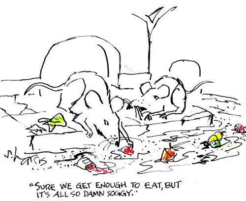 "Sure we get enough to eat, but it's all so damn soggy."
