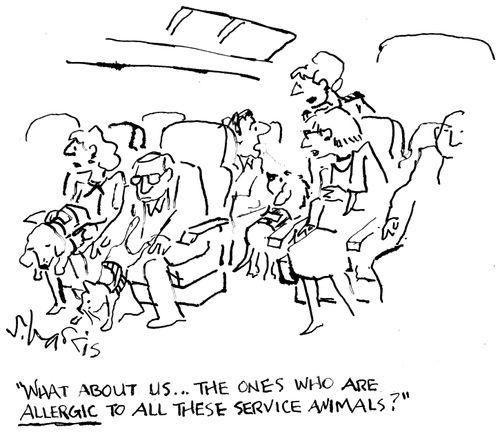 "What abouts...the ones who are allergic to all these service animals?"
