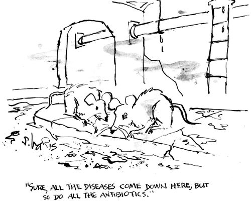 "Sure, all the diseases come down here, but so do all the antibiotics."