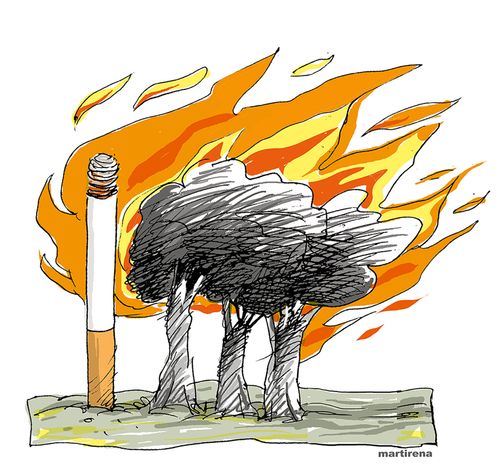 Cigarette butts and forest fires