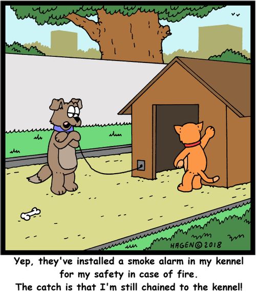 "Yep, they've installed a smoke alarm in my kennel for my safety in case of fire. The catch is that I'm still chained to the kennel!"