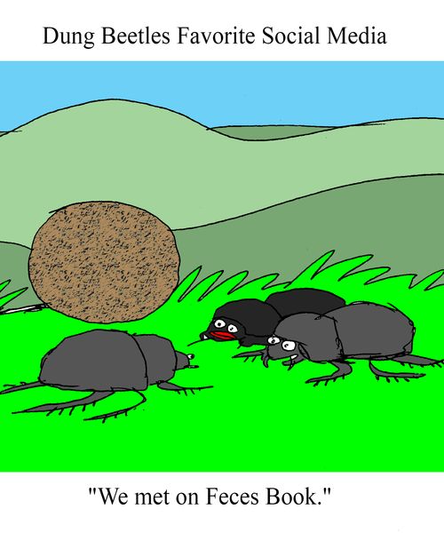 "We met on Feces Book."