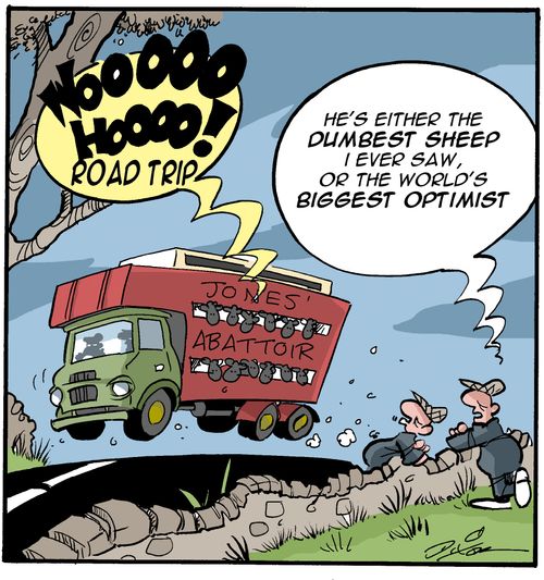 "He's either the dumbest sheep I ever saw, or the world's biggest optimist."